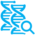 Real-Time PCR-Nachweis